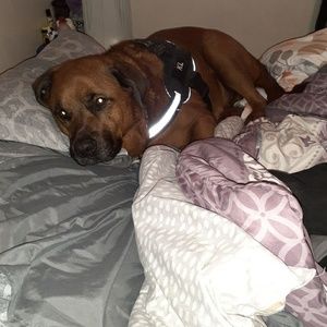 Meet your Posher, Katrina